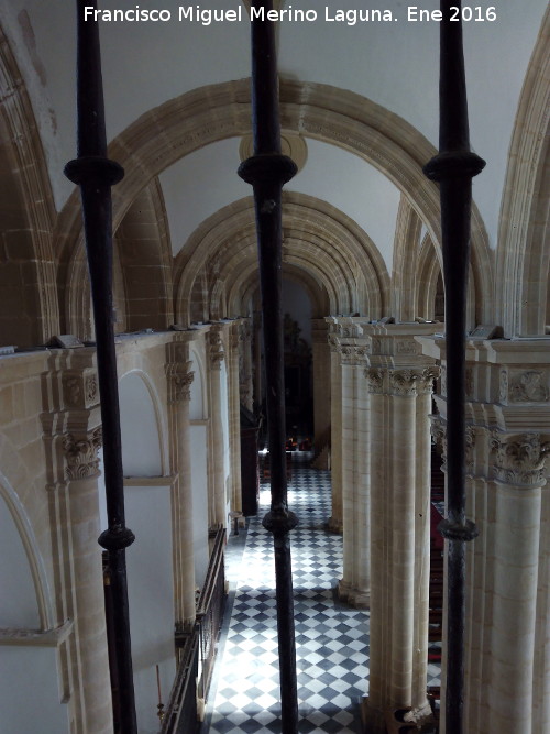Catedral de Baeza. Interior - Catedral de Baeza. Interior. Nave del Evangelio