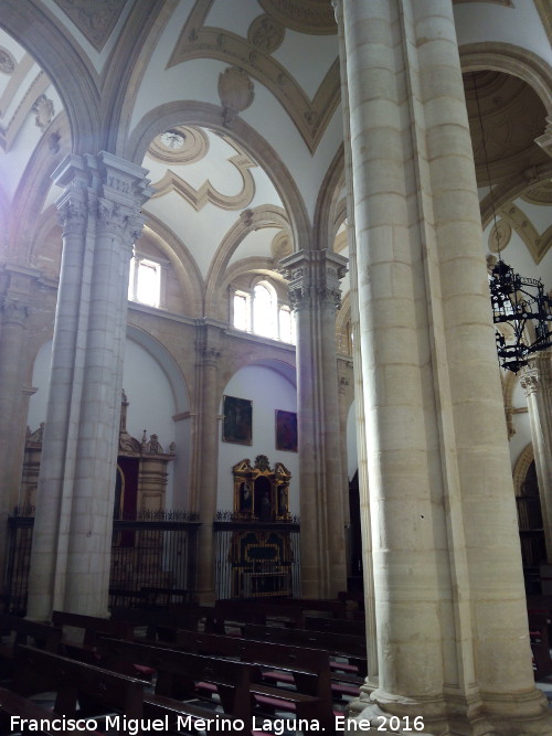 Catedral de Baeza. Interior - Catedral de Baeza. Interior. 