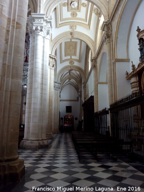 Catedral de Baeza. Interior - Catedral de Baeza. Interior. Nave de la Epstola