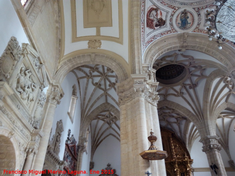 Catedral de Baeza. Interior - Catedral de Baeza. Interior. Bvedas