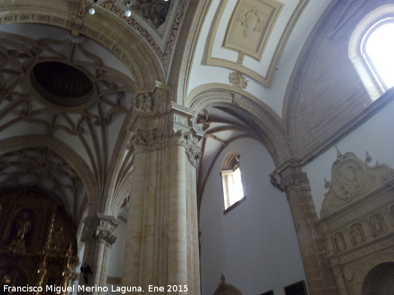 Catedral de Baeza. Interior - Catedral de Baeza. Interior. 