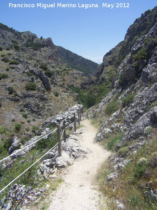 Tajo de las Palomas - Tajo de las Palomas. Camino