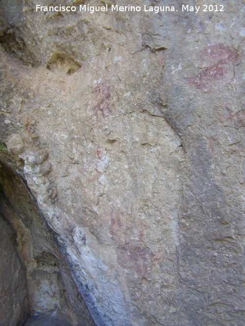 Pinturas rupestres de la Caada de la Corcuela - Pinturas rupestres de la Caada de la Corcuela. Cabras de la izquierda