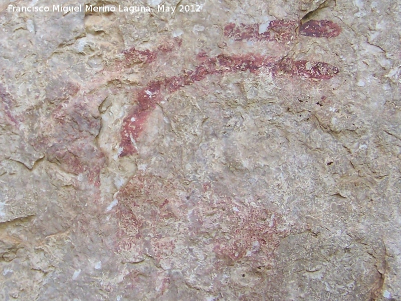 Pinturas rupestres de la Caada de la Corcuela - Pinturas rupestres de la Caada de la Corcuela. Cabra mayor