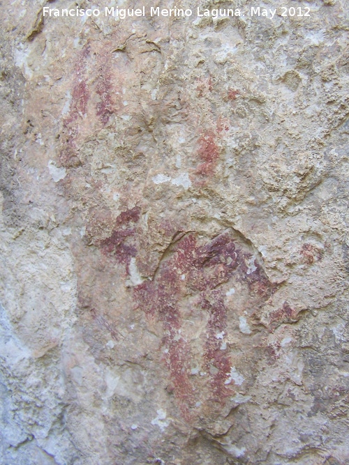 Pinturas rupestres de la Caada de la Corcuela - Pinturas rupestres de la Caada de la Corcuela. Cabra izquierda baja