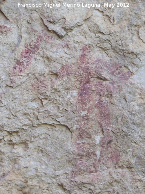 Pinturas rupestres de la Caada de la Corcuela - Pinturas rupestres de la Caada de la Corcuela. Antropomorfo bajo derecho capturando a las cabras