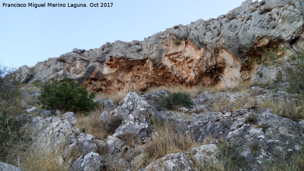 Pinturas rupestres de la Cueva de Limones - Pinturas rupestres de la Cueva de Limones. Abrigo