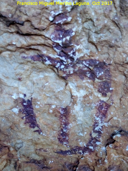 Pinturas rupestres de la Cueva de Limones - Pinturas rupestres de la Cueva de Limones. 