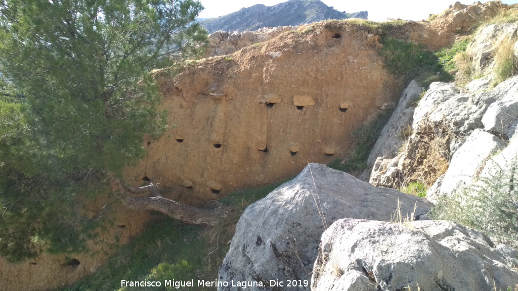 Mechinal - Mechinal. Muralla Sur de Jan