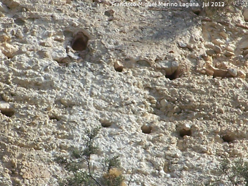 Mechinal - Mechinal. Castillo de San Jos - Guadalest