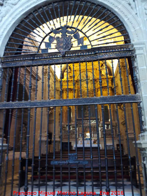 Catedral de Baeza. Capilla Dorada - Catedral de Baeza. Capilla Dorada. Reja