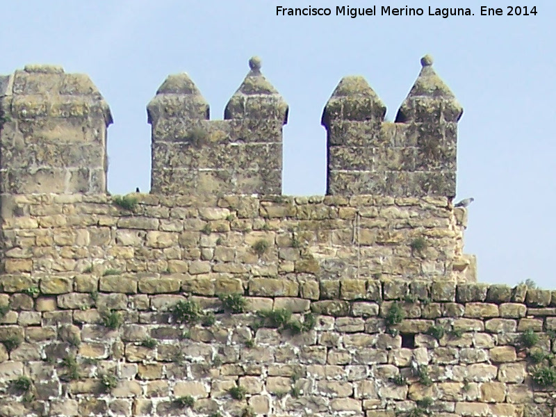 Arco de Villalar y Puerta de Jan - Arco de Villalar y Puerta de Jan. Almenas