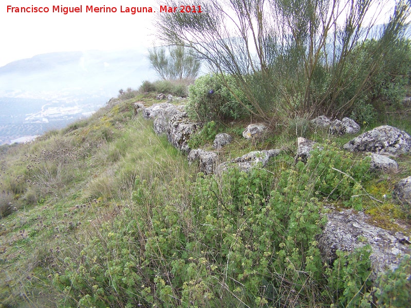 Oppidum del Cerro Algarrobo - Oppidum del Cerro Algarrobo. Muralla ciclpea