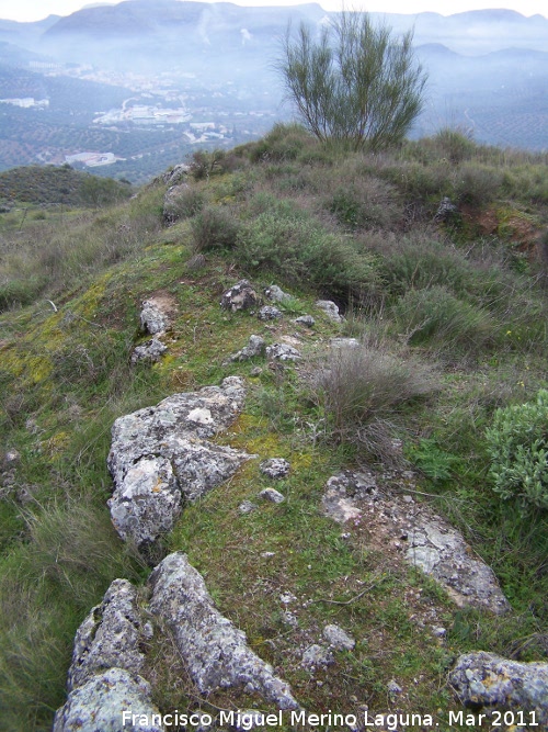 Oppidum del Cerro Algarrobo - Oppidum del Cerro Algarrobo. Muralla ciclpea