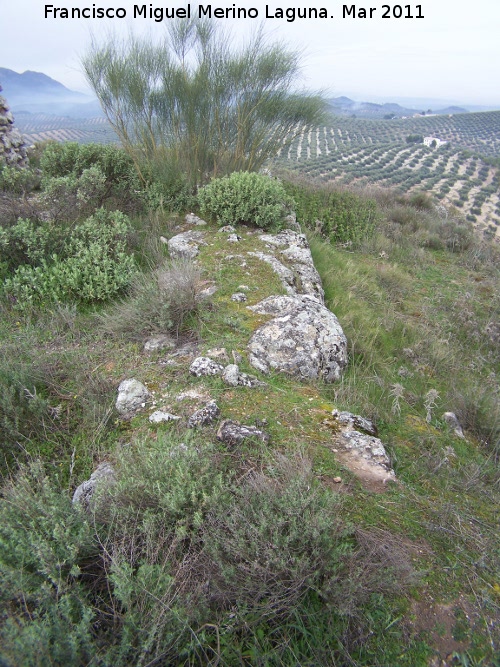 Oppidum del Cerro Algarrobo - Oppidum del Cerro Algarrobo. Muralla ciclpea