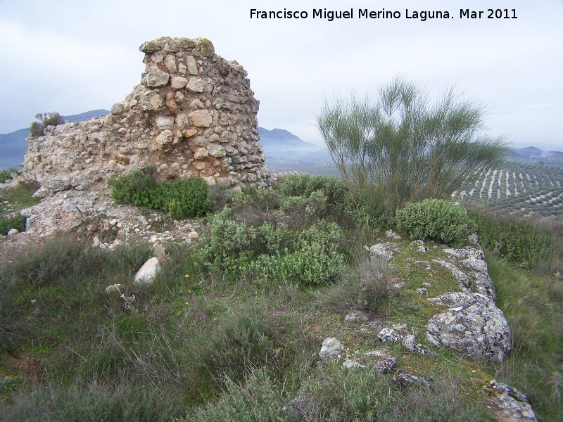 Oppidum del Cerro Algarrobo - Oppidum del Cerro Algarrobo. Torren y la muralla ciclpea