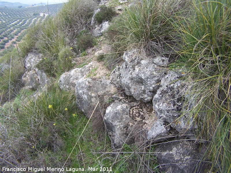 Oppidum del Cerro Algarrobo - Oppidum del Cerro Algarrobo. Muralla ciclpea