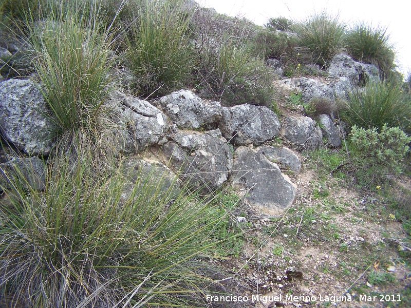 Oppidum del Cerro Algarrobo - Oppidum del Cerro Algarrobo. Muralla ciclpea