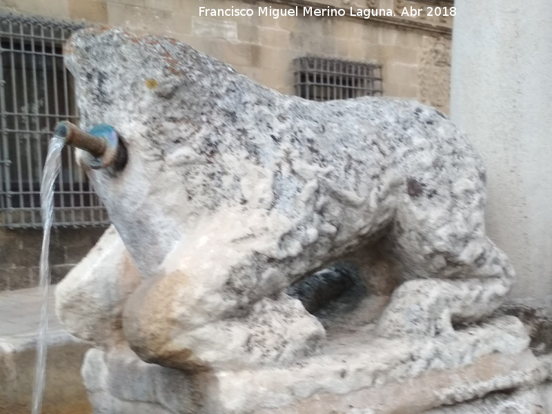 Fuente de los Leones - Fuente de los Leones. Len del norte