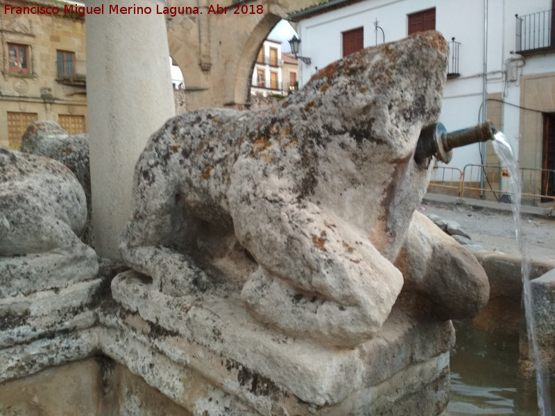 Fuente de los Leones - Fuente de los Leones. Len del norte