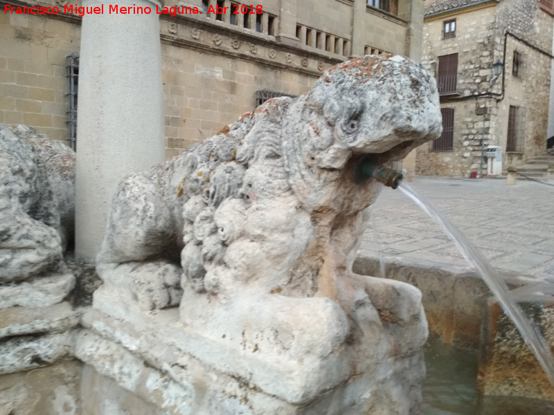 Fuente de los Leones - Fuente de los Leones. Len del oeste