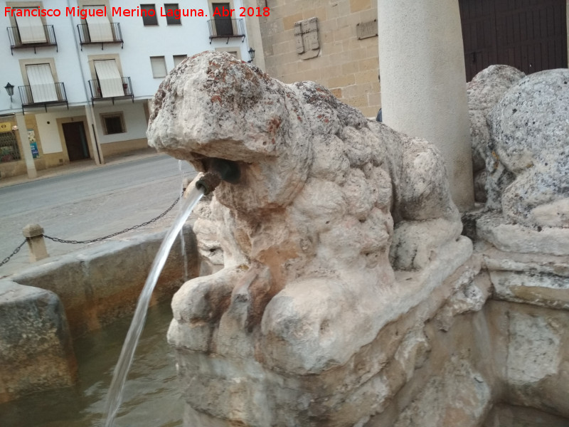 Fuente de los Leones - Fuente de los Leones. Len del oeste