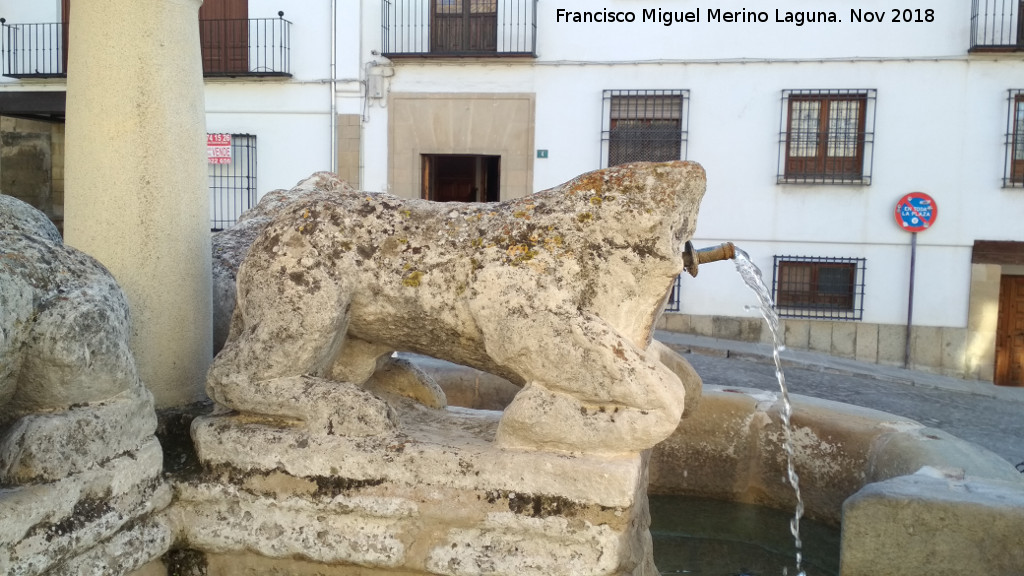 Fuente de los Leones - Fuente de los Leones. Len del norte