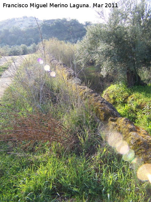 Puente Medieval del Arroyo Salado - Puente Medieval del Arroyo Salado. Barandilla