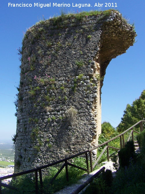 Muralla. Torre Ochavada - Muralla. Torre Ochavada. 