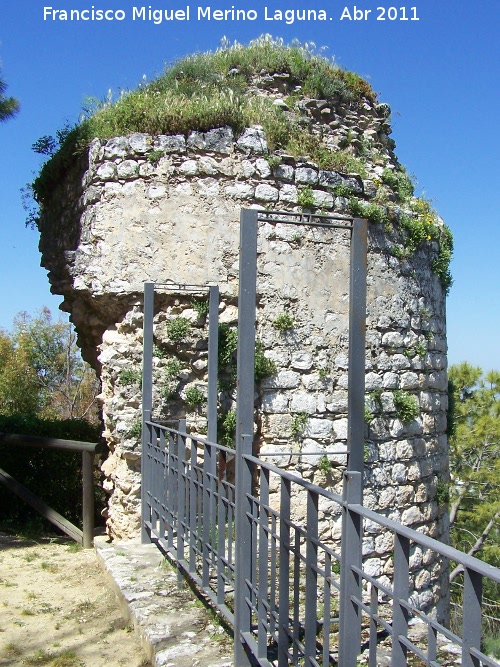 Muralla. Torren III - Muralla. Torren III. 