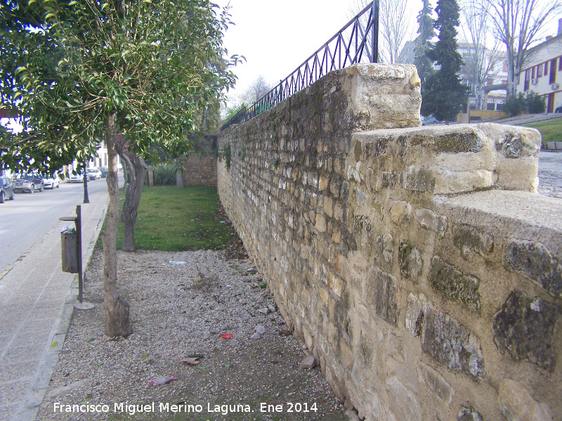 Muralla de Baeza - Muralla de Baeza. Muralla del Paseo Antonio Machado