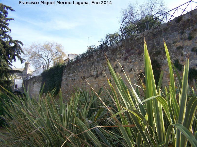 Muralla de Baeza - Muralla de Baeza. Murallas del Paseo Antonio Machado