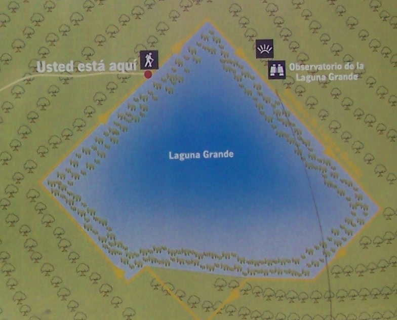 Laguna Grande - Laguna Grande. 