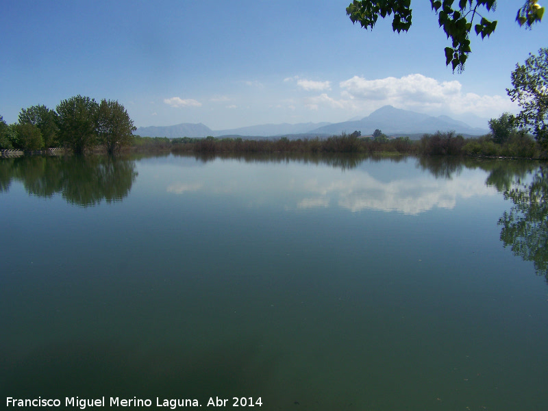 Laguna Grande - Laguna Grande. 