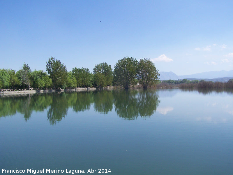 Laguna Grande - Laguna Grande. 