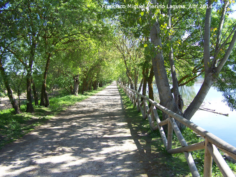 Laguna Grande - Laguna Grande. Camino