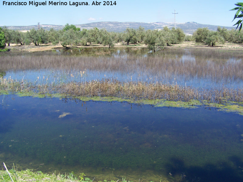 Laguna Grande - Laguna Grande. Laguna lateral