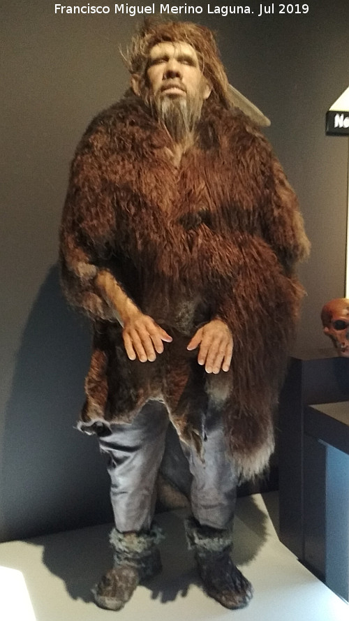 Homo neanderthalensis - Homo neanderthalensis. Ciudad de las Ciencias - Valencia