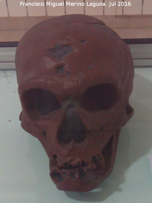 Homo neanderthalensis - Homo neanderthalensis. Cueva de la Carihuela - Par. Museo de Par