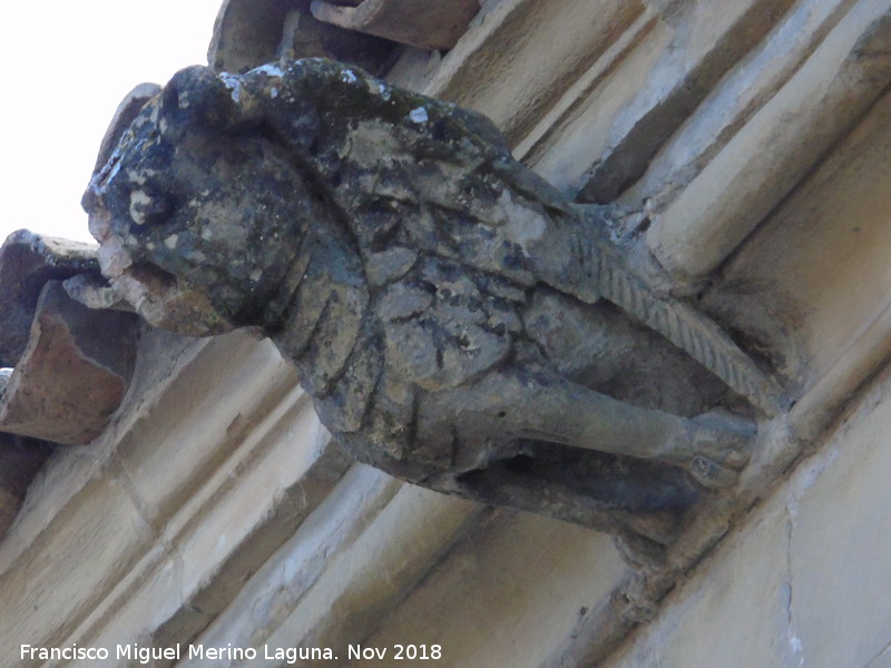 Palacio de los Salcedo - Palacio de los Salcedo. Grgola