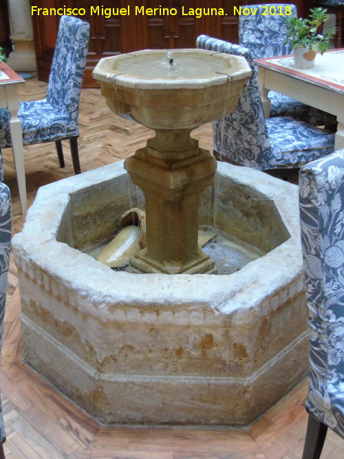 Palacio de los Salcedo - Palacio de los Salcedo. Fuente del patio