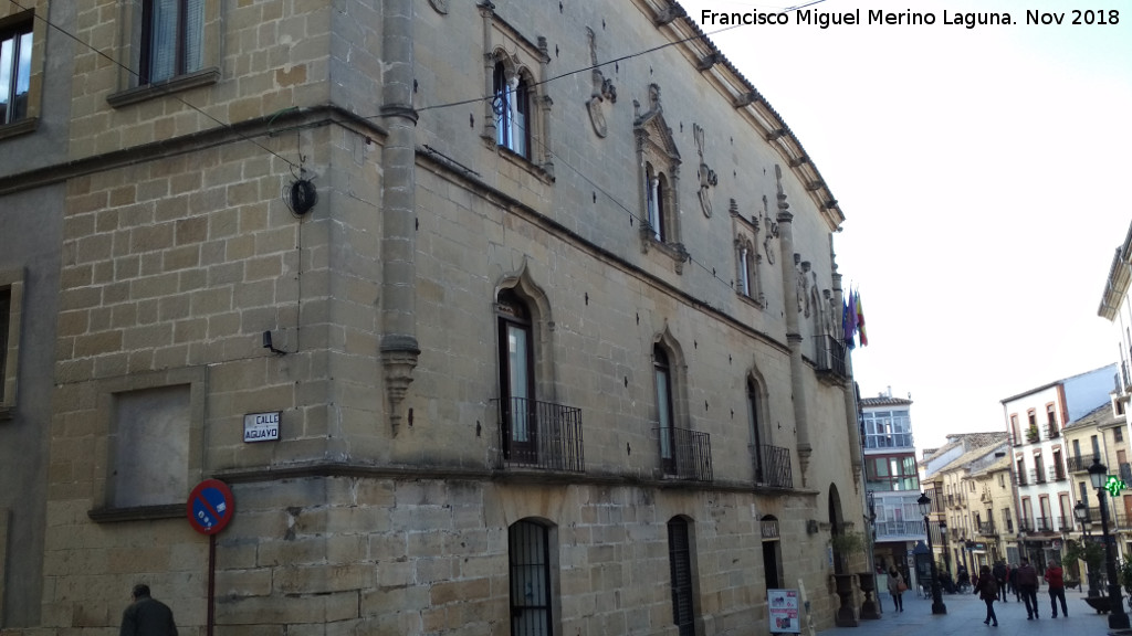 Palacio de los Salcedo - Palacio de los Salcedo. 