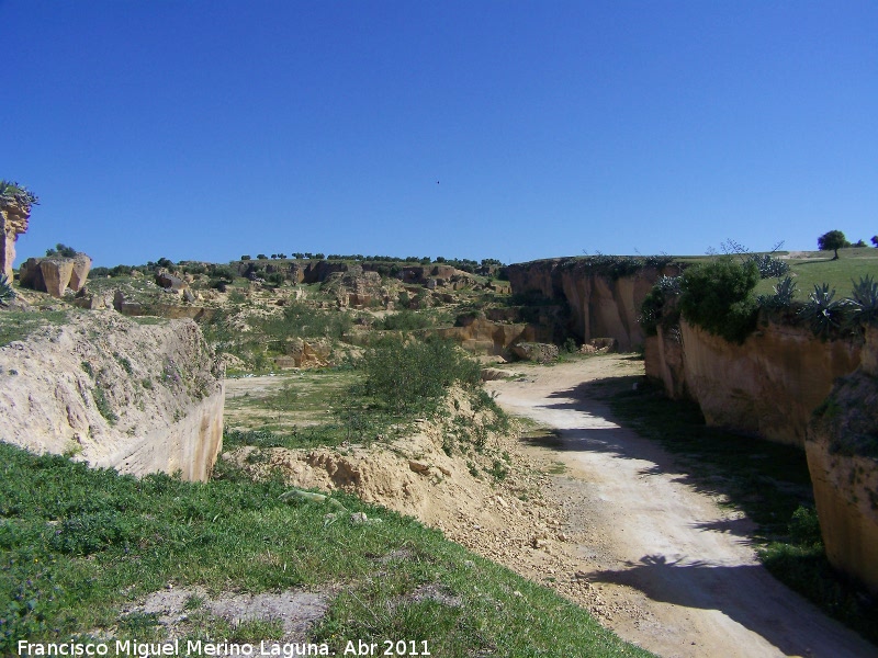 Canteras de Osuna - Canteras de Osuna. 