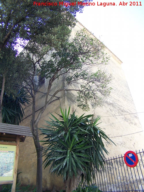 Torre del Agua - Torre del Agua. 