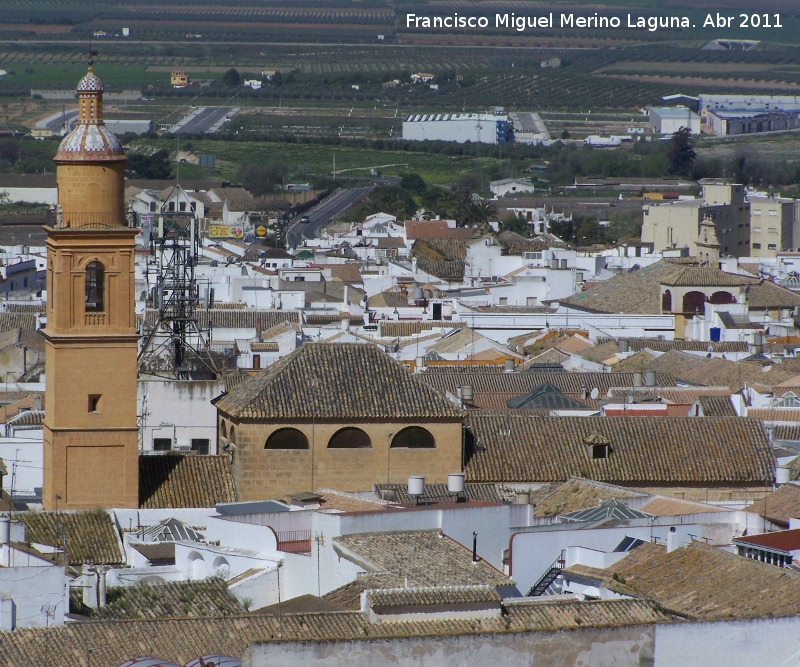 Iglesia de San Carlos El Real - Iglesia de San Carlos El Real. 