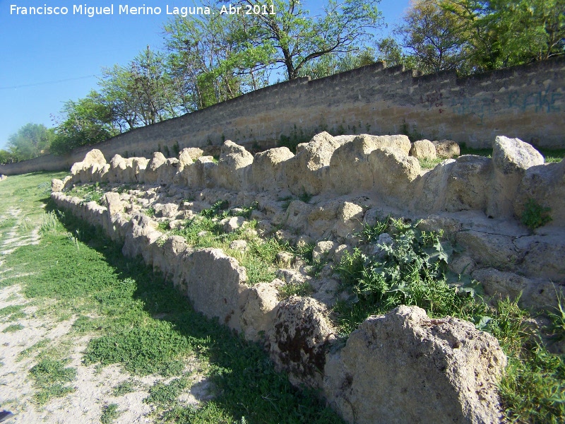 Edificio romano de La Pileta - Edificio romano de La Pileta. Muros