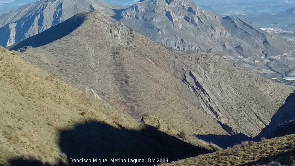 Monte Carluca - Monte Carluca. Desde el Cordel de la Fuente del Espino