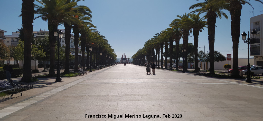 Paseo de las Palmeras - Paseo de las Palmeras. 