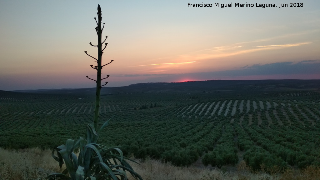 Ocaso - Ocaso. Aldea Torrelczar - Torredonjimeno