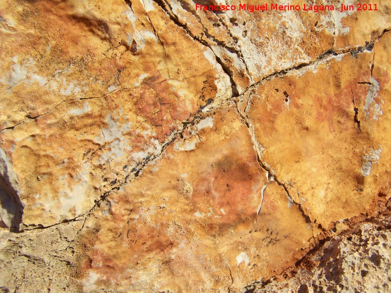 Pinturas rupestres de la Pea del Gorrin VII - Pinturas rupestres de la Pea del Gorrin VII. Los tres zooformos